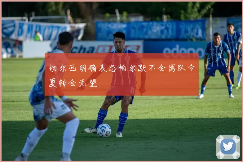 切尔西明确表态帕尔默不会离队今夏转会无望
