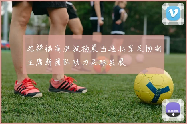 沈祥福高洪波杨晨当选北京足协副主席新团队助力足球发展