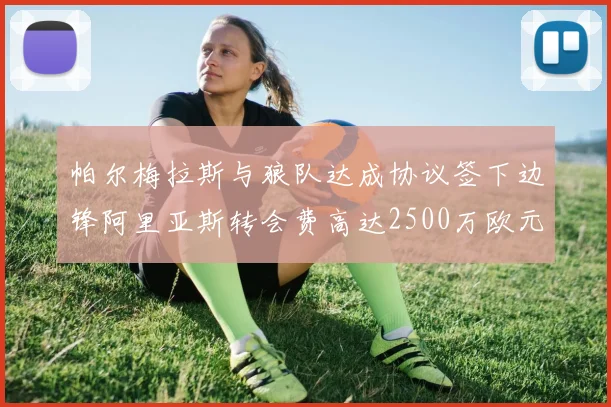 帕尔梅拉斯与狼队达成协议签下边锋阿里亚斯转会费高达2500万欧元